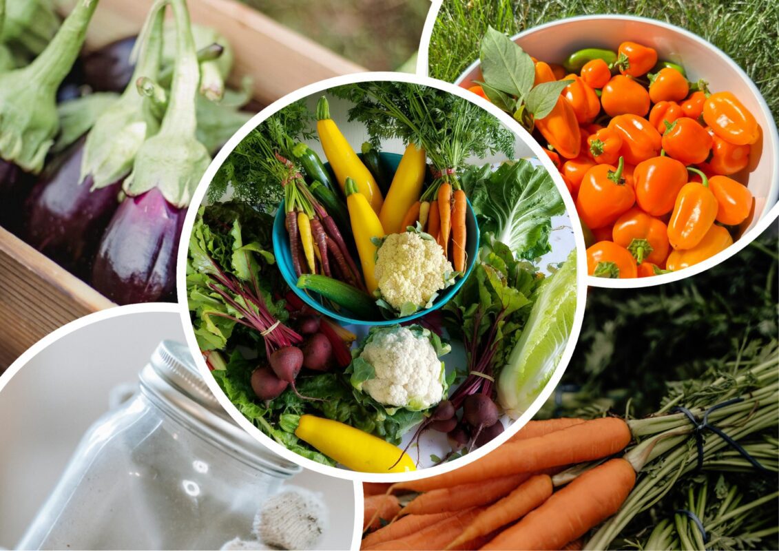 Городники розповіли про найдешевший та найпростіший спосіб заготівлі на зиму