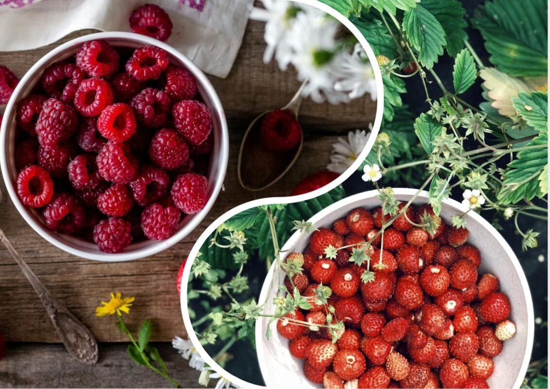 Садівники розповіли, як зробити заготовки на зиму з ягід без грама цукру