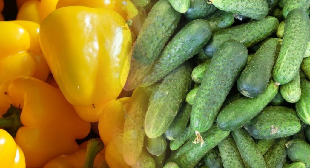 Підживлення, яке вам не порадять у магазині: 2в1 – для подвоєння врожаю перців та огірків 