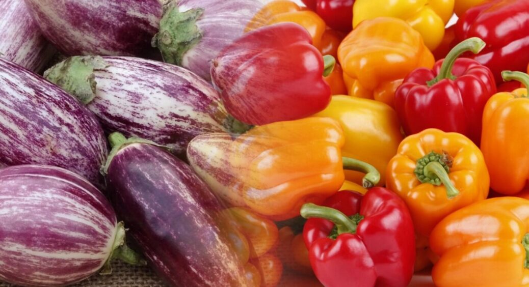 Рецепт дня. Борна кислота + 10 літрів води = перець і баклажани дадуть вдвічі більше плодів 