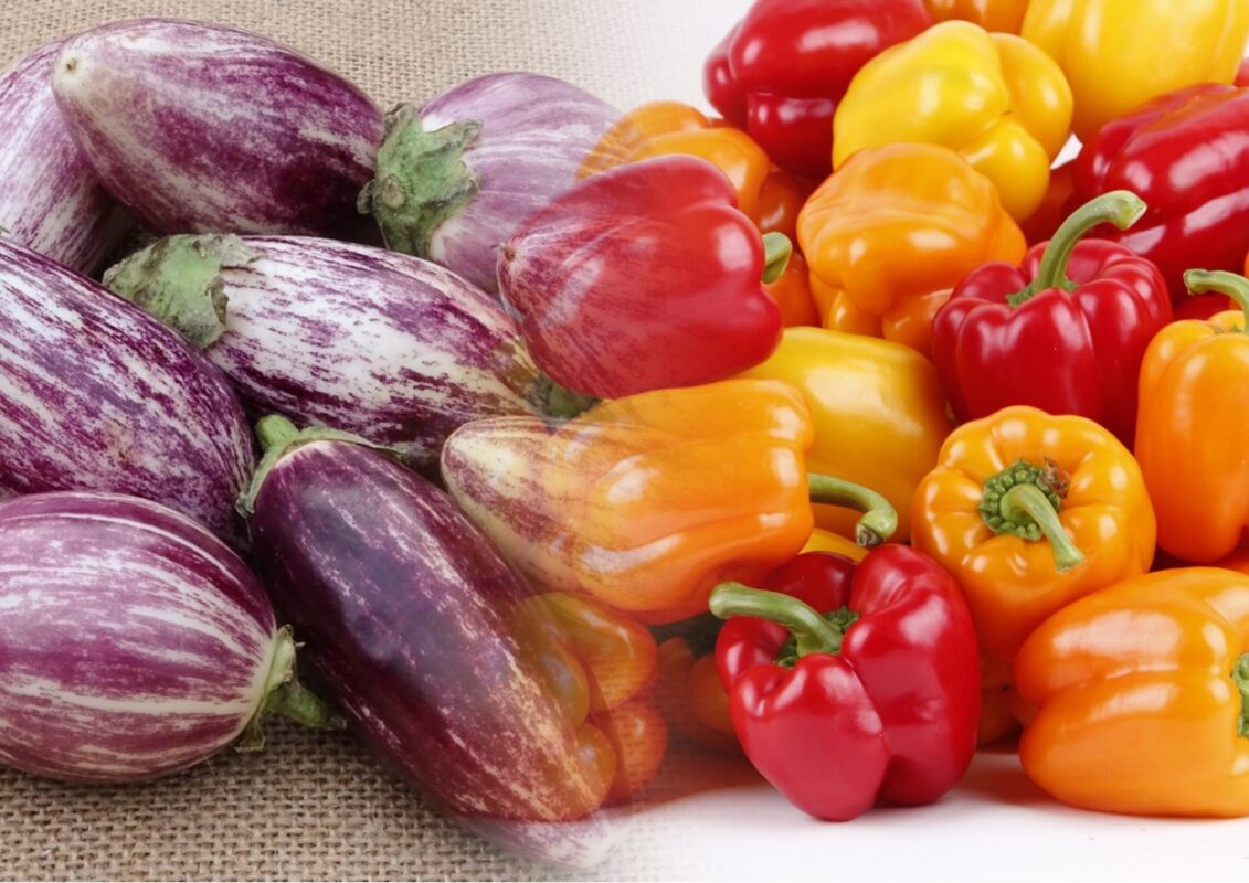 Як використати борну кислоту, щоб підвищити врожайність баклажанів 