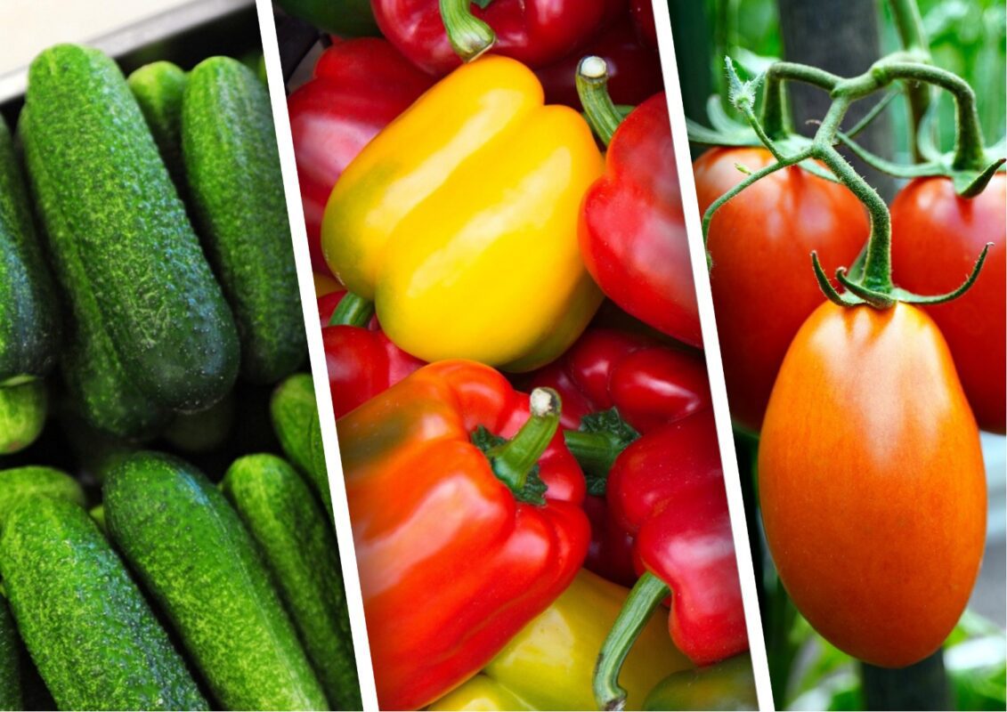 Що додати в лунки під час посадки огірків, помідорів та перцю