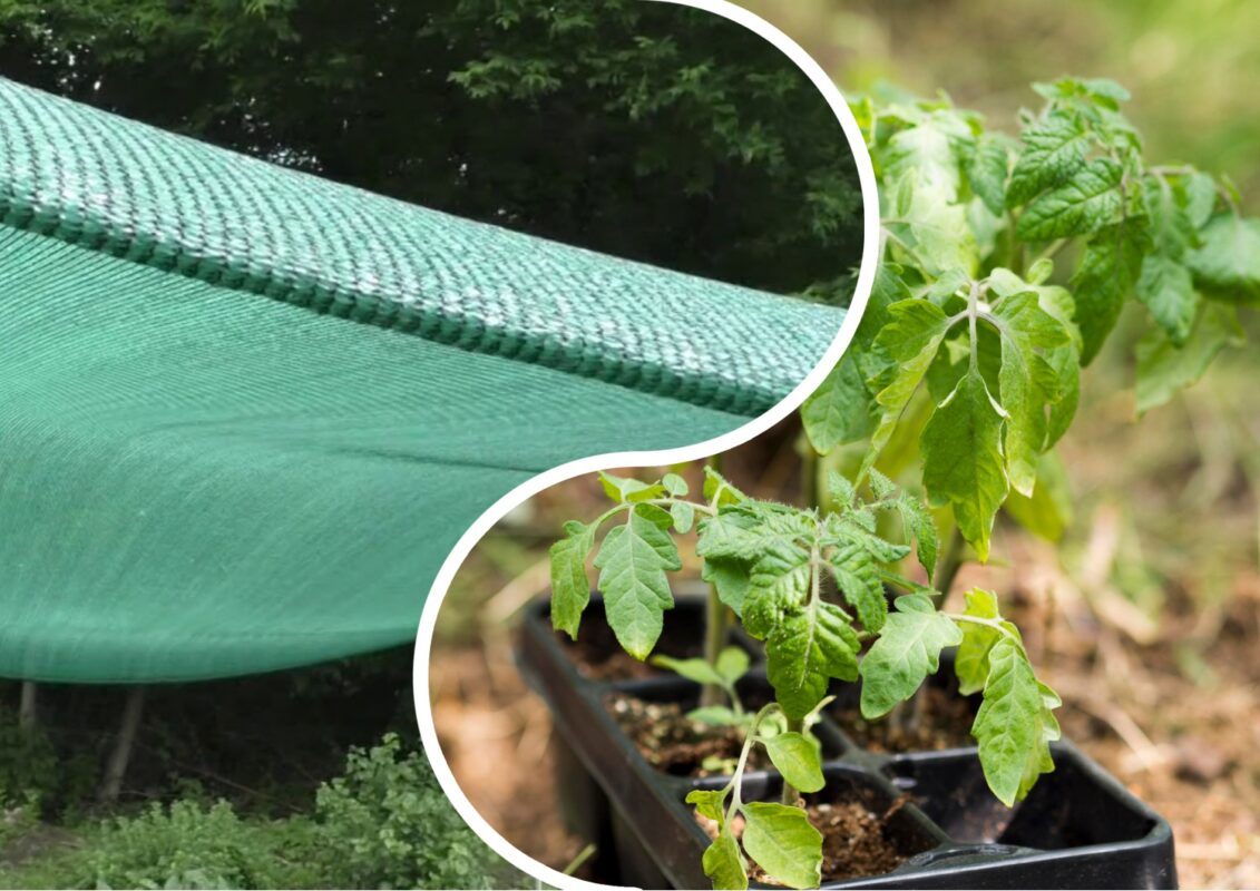 Особливості використання затіняючої сітки на городі