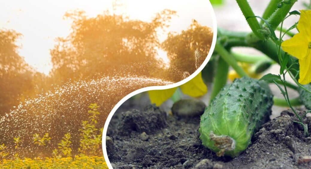 Цей 1 трюк у городі неабияк прискорить ріст овочів: знадобляться пластикові пляшки 