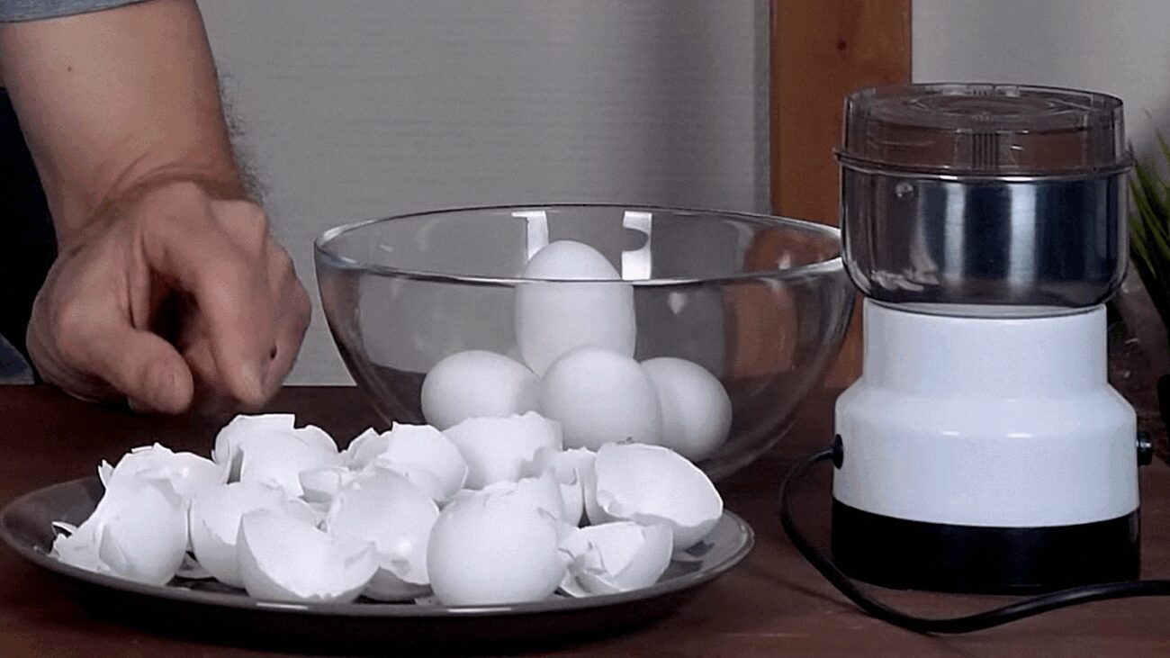 Городники порадили найкраще добриво для перців від вершинної гнилі