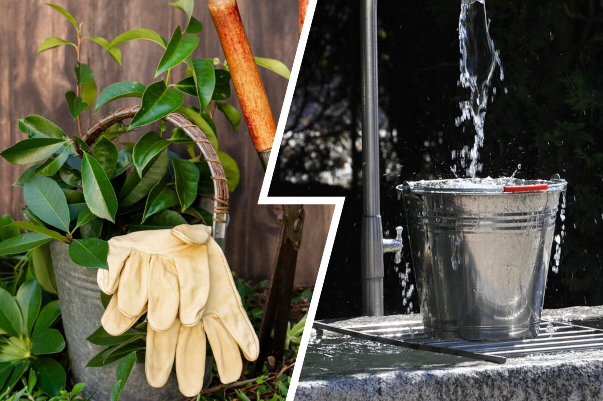 Городники розповіли, як можна застосувати старе відро прямо на дачі