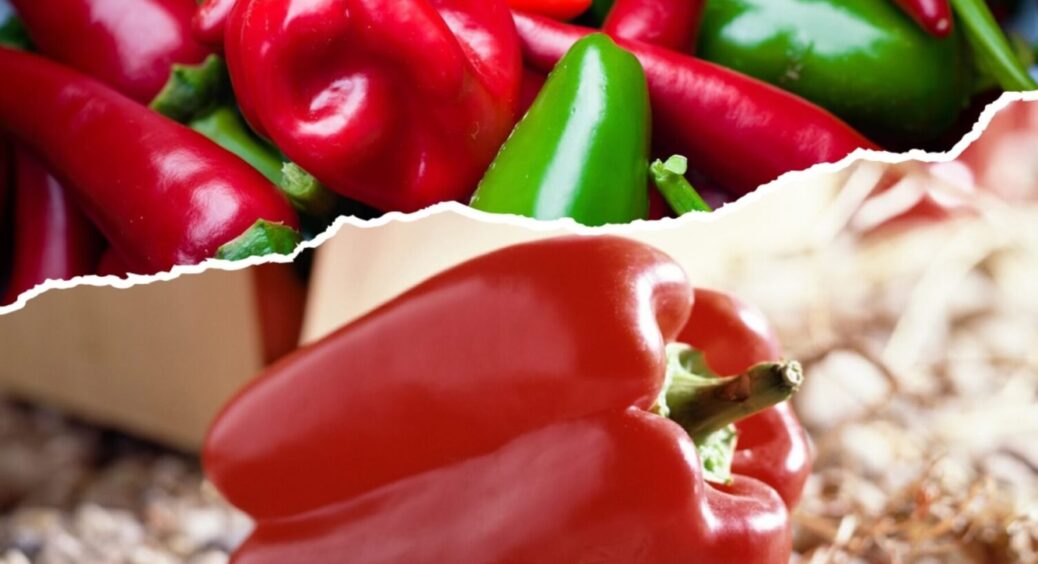 Перці розміром з 2 долоні: додайте у лунку це, і урожай збиратимете ящиками увесь сезон 