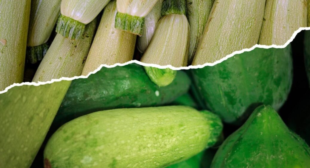 Кабачки гниють – не біда: як врятувати врожай “зелененьких”, якщо з ними стався факап на городі 