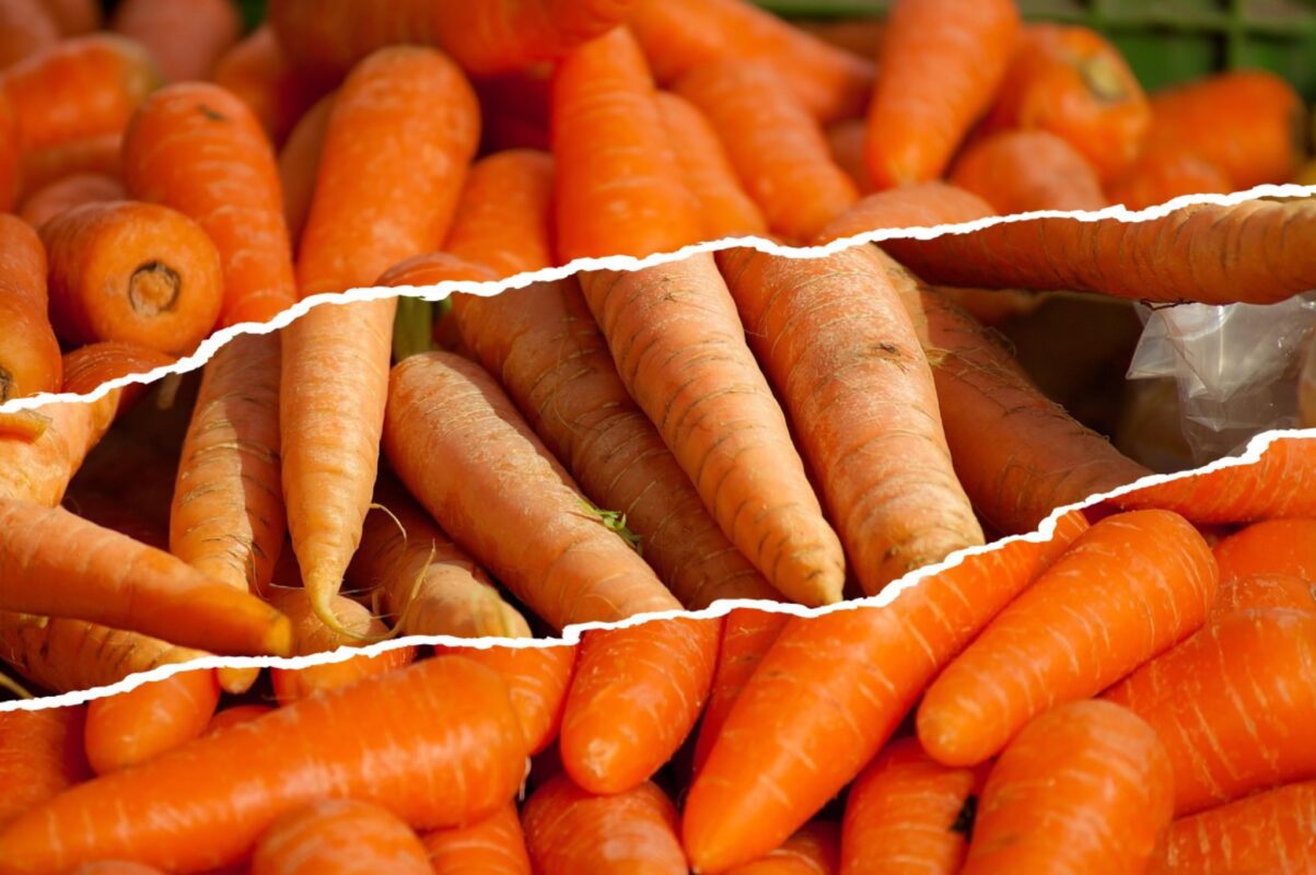 Городники розсекретили найкращий час для збору врожаю моркви