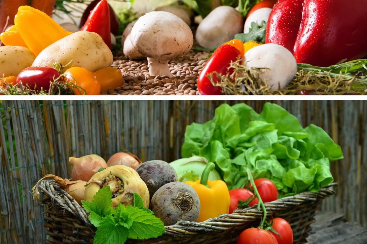 Городники розсекретили рецепт універсального добрива для овочів