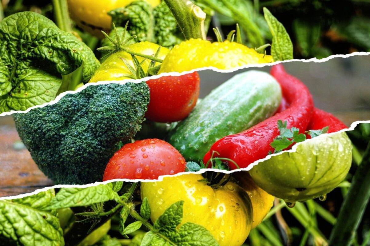 Агроном розповів, що можна посадити зараз для хорошого врожаю