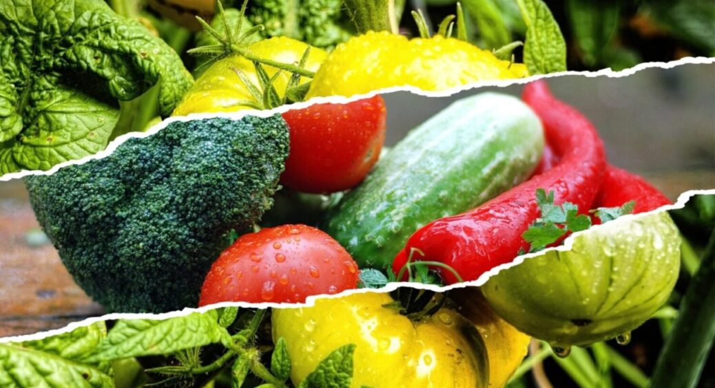 Поки спека, висаджуємо в тіні: 3 овочі, які можна посіяти прямо зараз для розкішного врожаю 