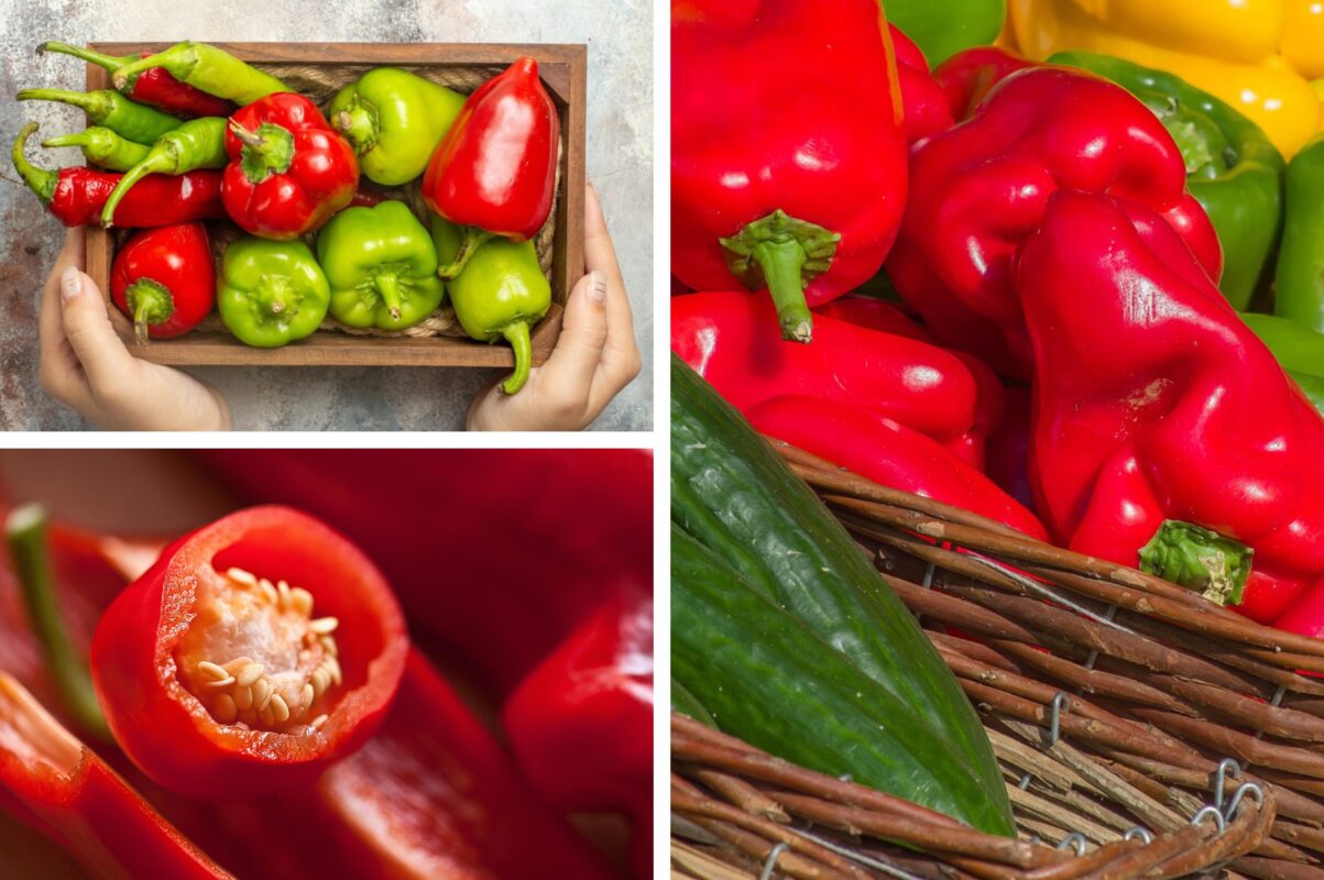 Агроном розповів, як стимулювати ріст солодких перців