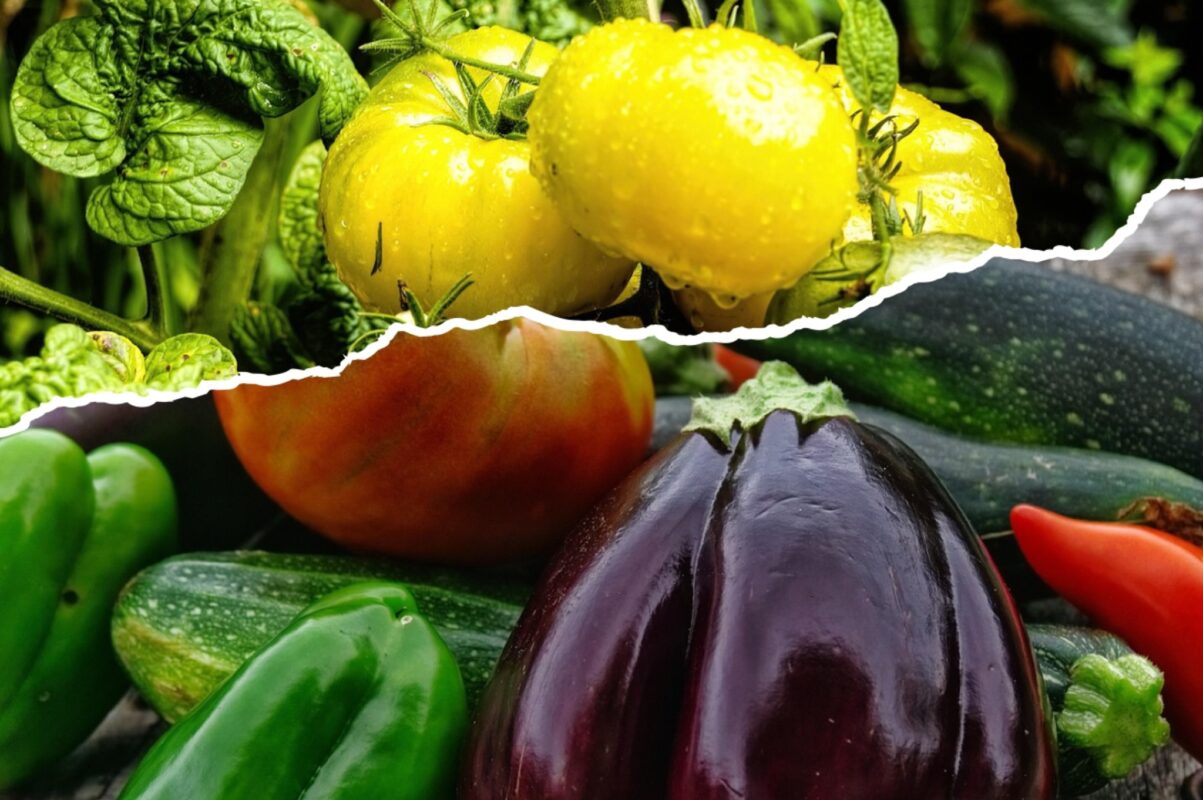 Дачники розповіли, які рослини посадити в липні 2025 на городі