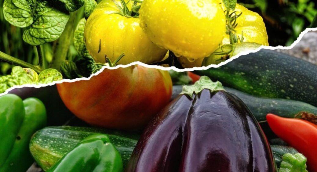 Ці 10 рослин готові до посадки в липні 2025: що висадити на городі – список культур 