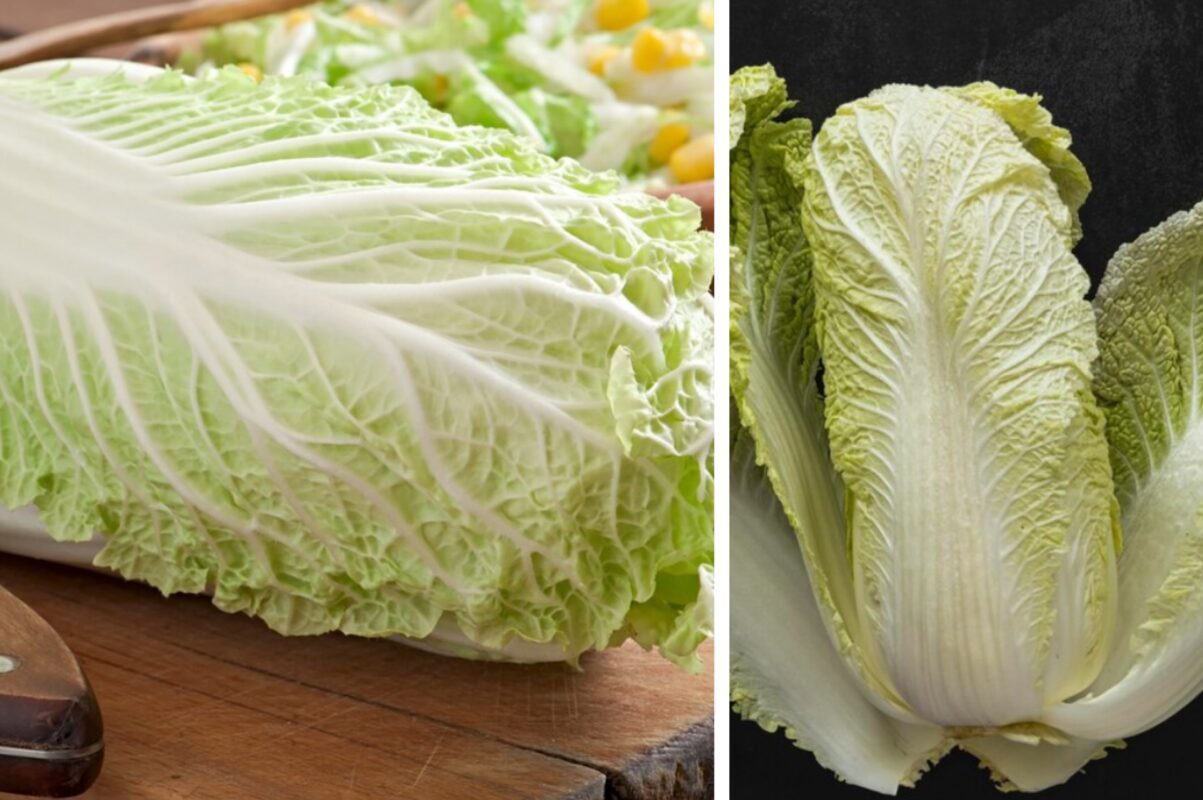Дачники розповіли, як виростити пекінську капусту в домашніх умовах