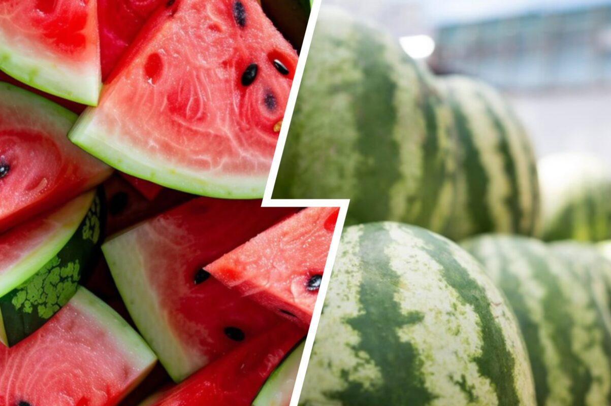 Експерт розповів, чи можна ще висаджувати кавуни