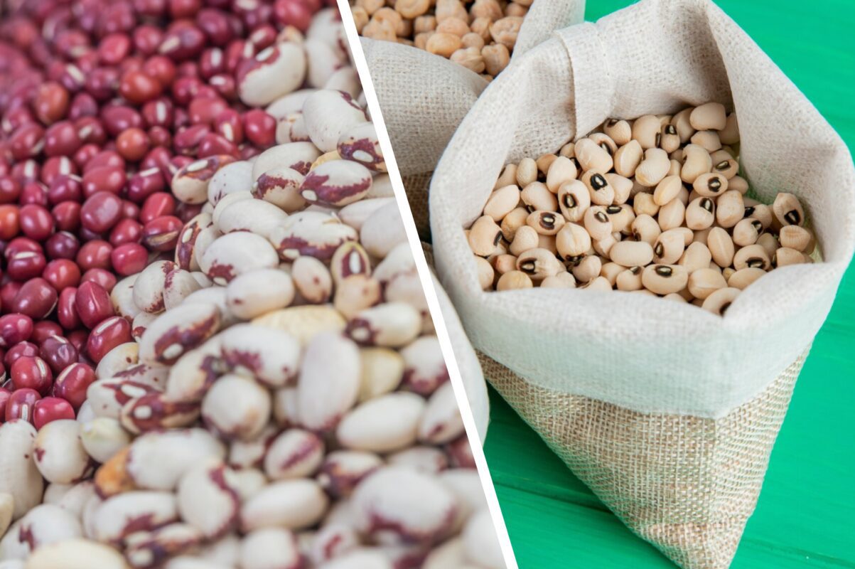 Городники розповіли, чим полити квасолю на різних етапах її росту