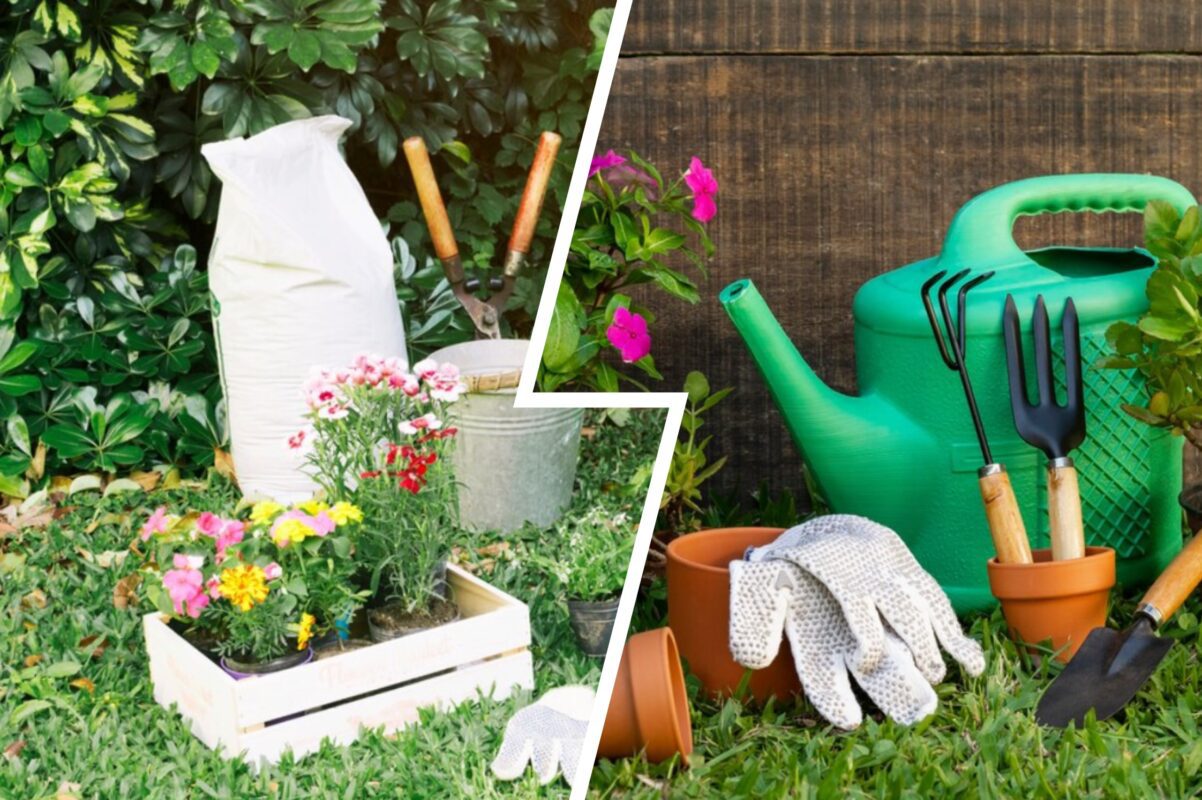 Городники розповіли, як позбутись білокрилки за допомогою народних засобів