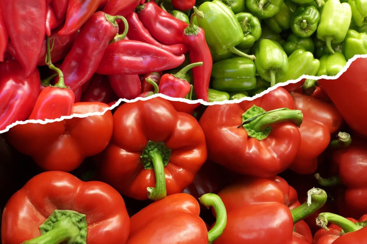 Городники розсекретили, як подвоїти врожай перцю і отримати солодкі плоди