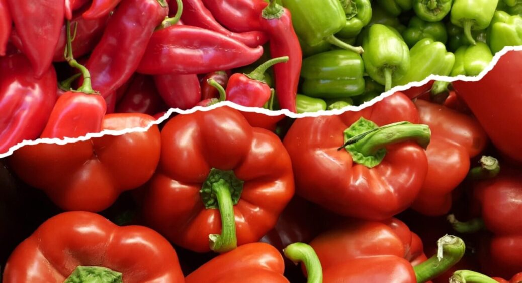 Перців буде вдвічі більше – абсолютний рекорд 2025: як зібрати гігантський врожай болгарського 