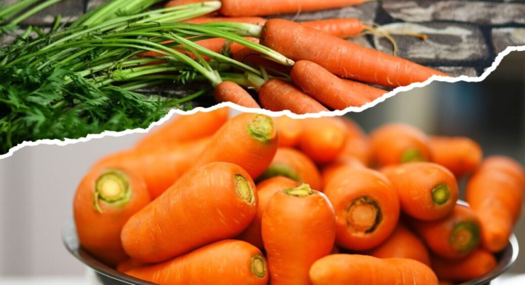 У липні 2025 розчиніть це у воді, і морква виросте рівною і великою – ніяких “чудовиськ” 