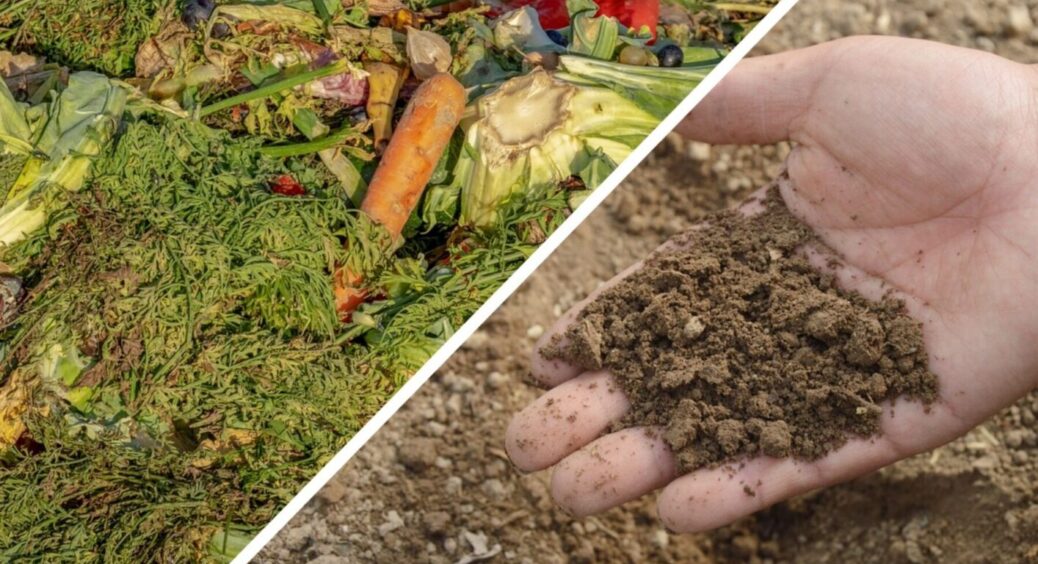 У мене, як завжди, шкідники на огірках: чим обробити овочі від гнилі, пожовтіння та парші – 3в1 