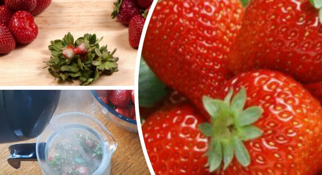 Полуницю з’їдайте, а хвостик не викидайте: такого запашного чаю з нічого ви ще не куштували 