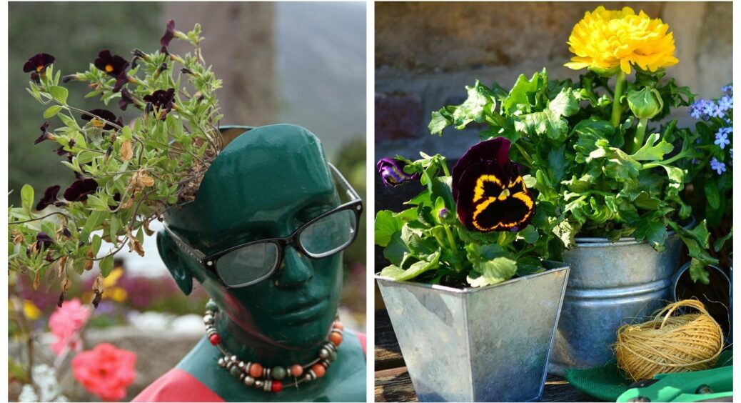 Зробивши ці 4 дії, землю з-під старих рослин можна буде використати повторно: лайфхаки 