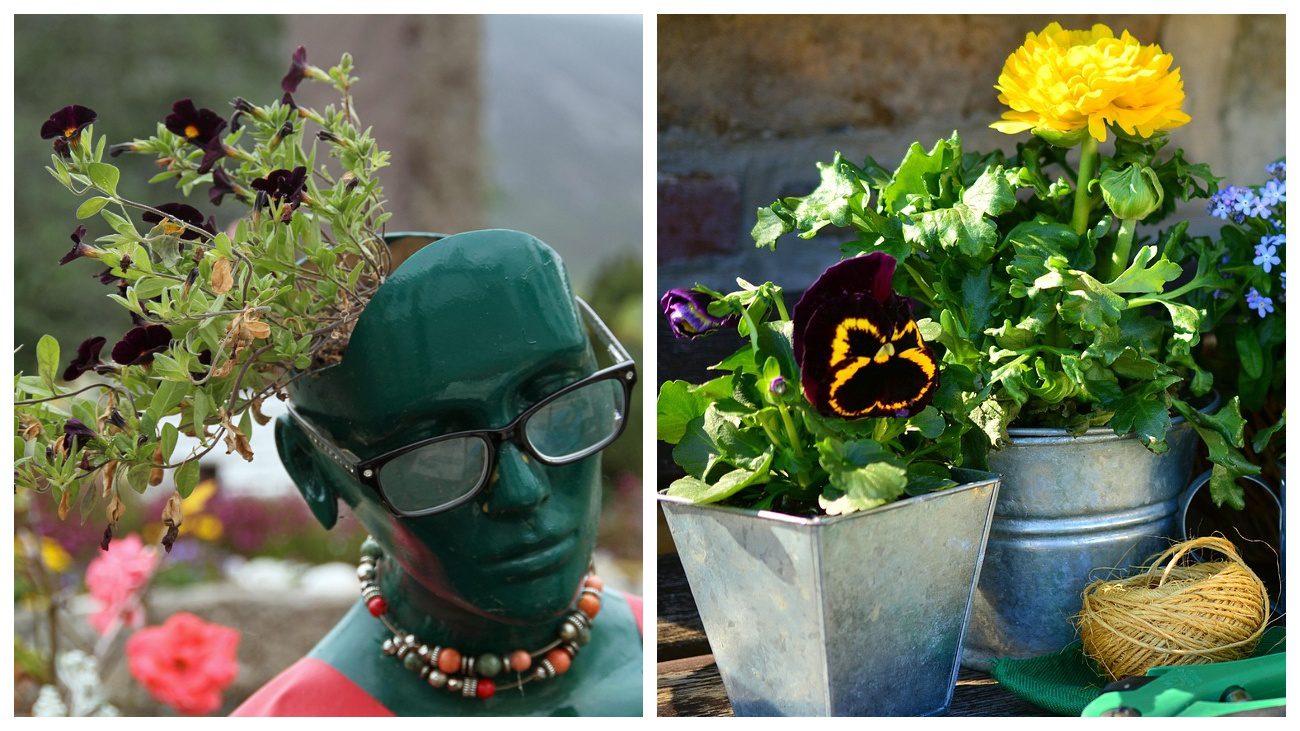 Садівники пояснили, чи можна повторно використовувати землю з-під старих рослин