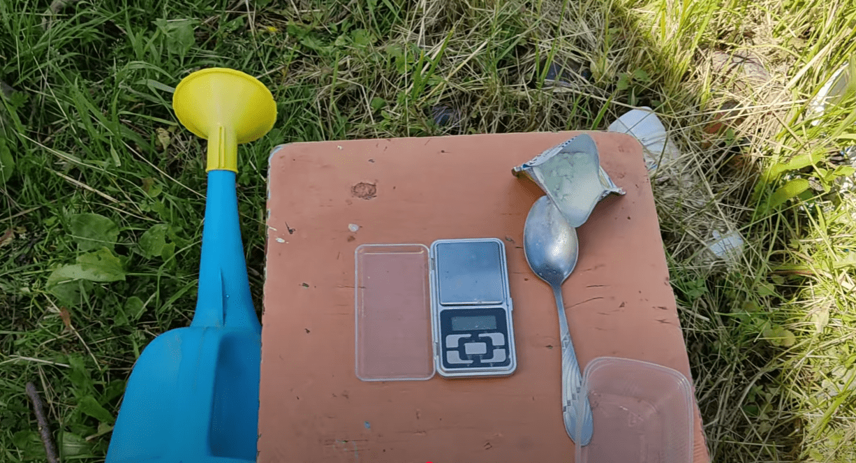 Городник розповів, що потрібно зробити, щоб виростити міцні здорові томати