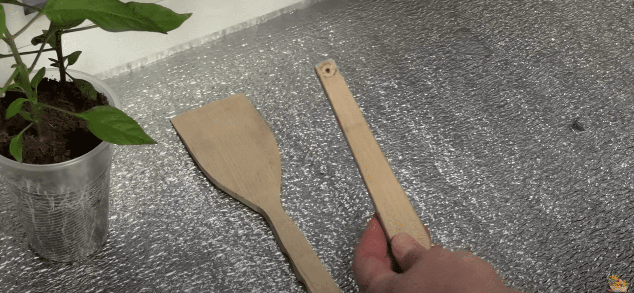 Городники показали простий інструмент для проріджування моркви