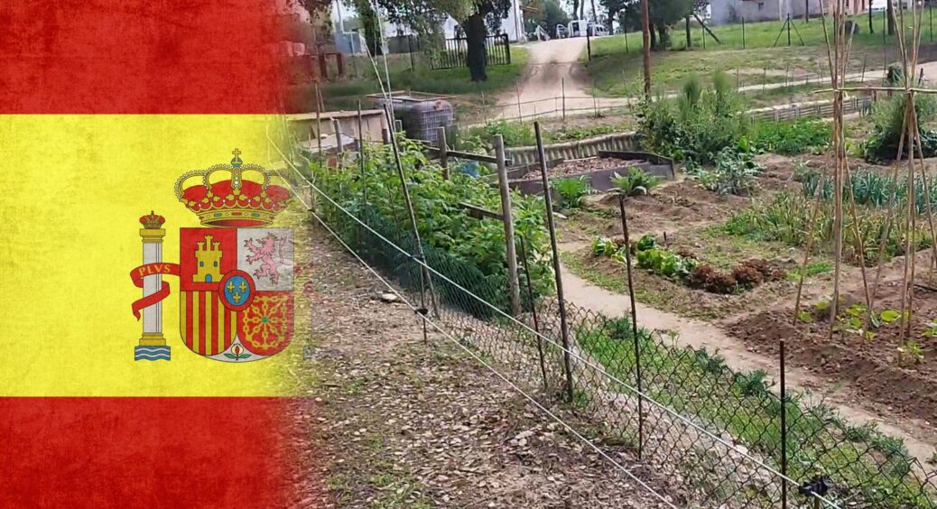 4 хитрощі українських городників з Барселони: як виростити гарні грядки навіть у спеку? 