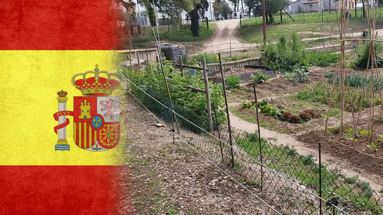 Українці з Барселони поділились хитрощами догляду за городом у спеку