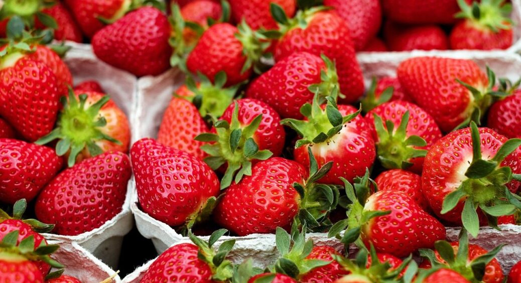 Стерилізація скасовується: полуничний компот за рецептом, який економить час та нерви 