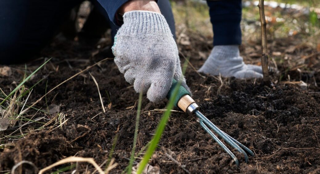 Ефективніше за гній у 8 разів: чим реально підживити ґрунт у лютому 2026 перед посівами 