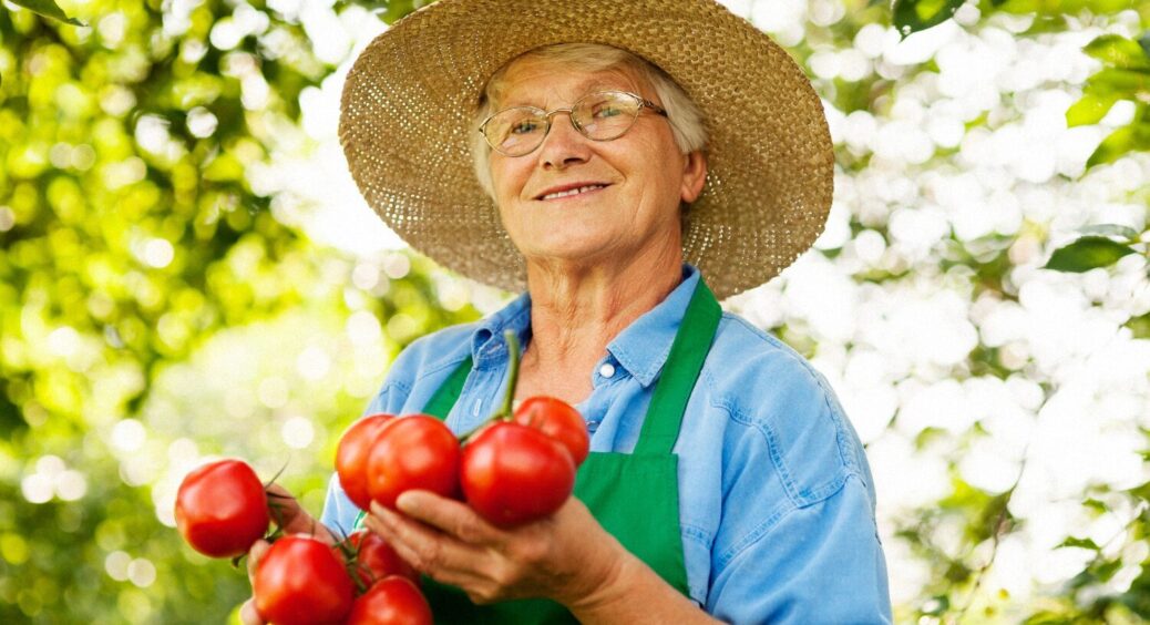 Німецький секрет врожайності: 4 добрива для помідорів, які підгледіли переселенці 