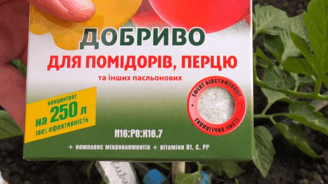 Фермери нагадали, чим треба підживити томати до 20 червня для гарного врожаю