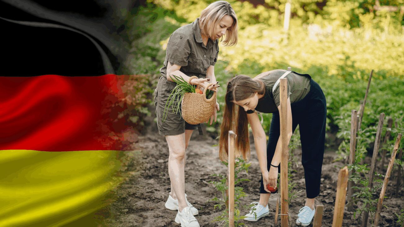 Українці з Берліну показали, які овочі вони саджають на своїх городах