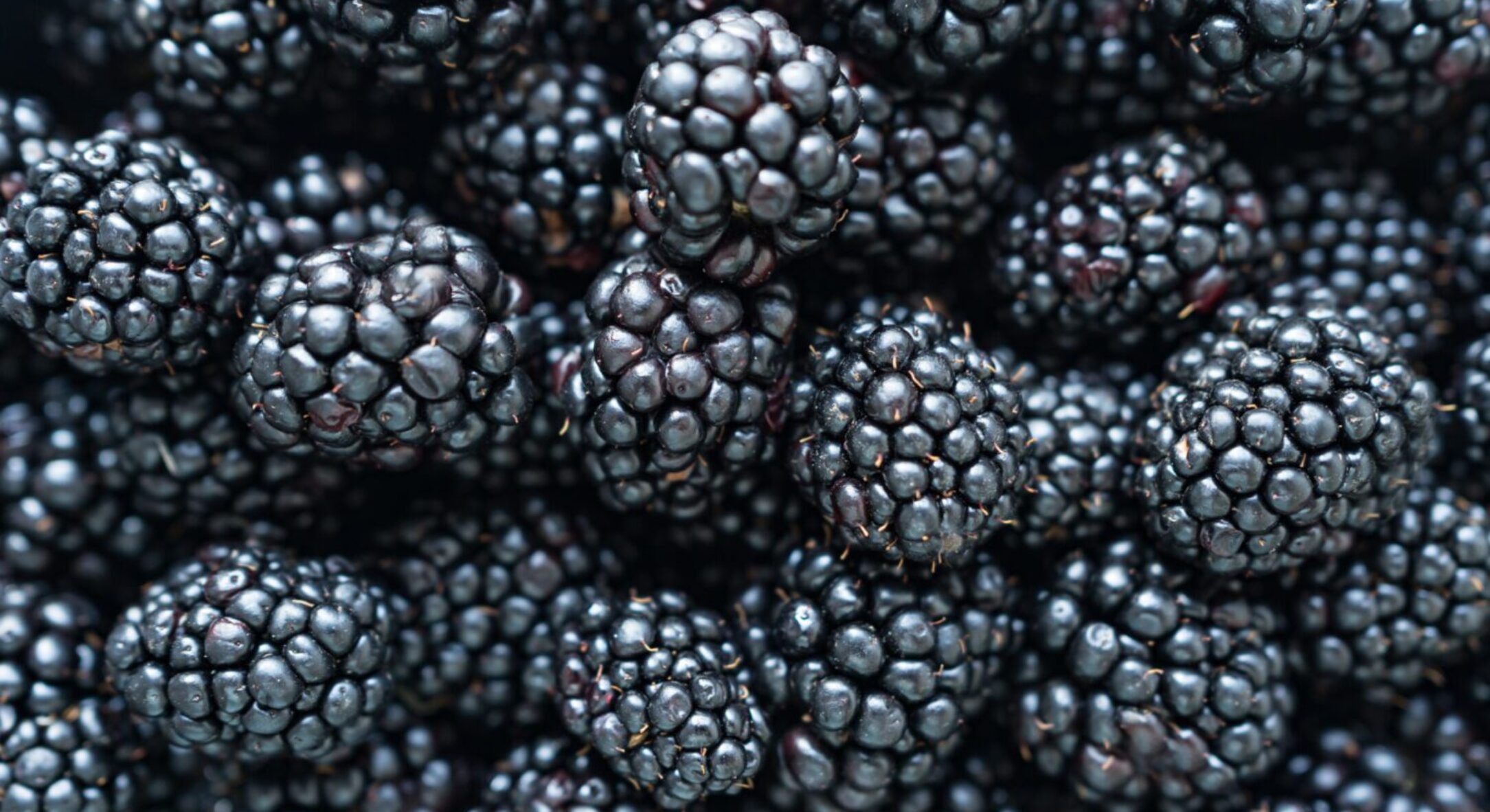 Чому ожина дрібніє кожного року: 1 проста маніпуляція збільшить розмір ягід у 2 рази 