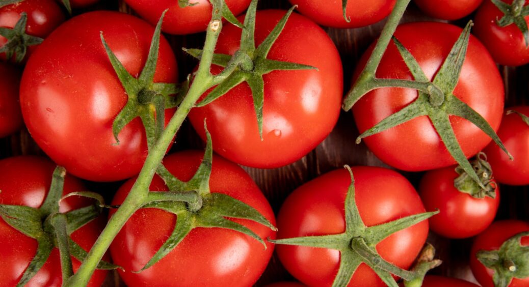 Як подвоїти врожай томатів? В Полтаві помідорів вдвічі більше, тому що садівники роблять це 