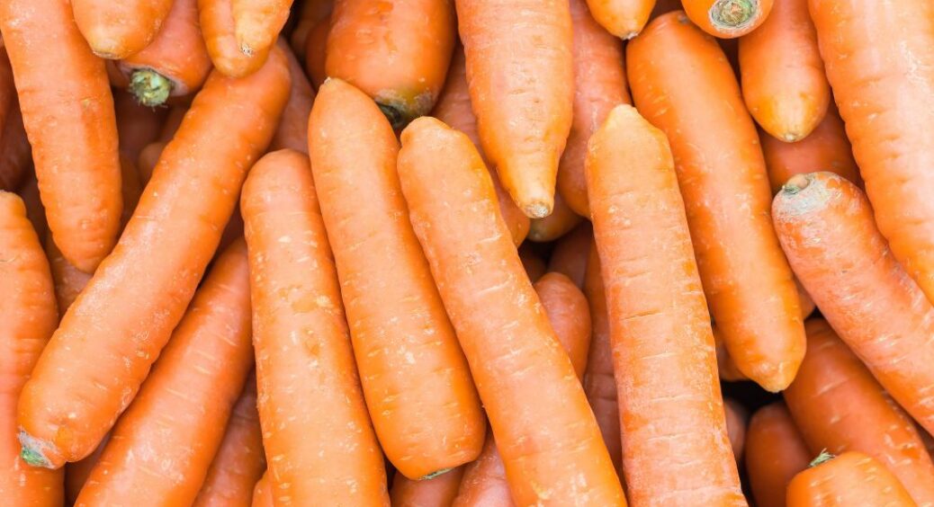 Морква буде як мед: раніше на Київщині додавали цей порошок у борозенки при сівбі 