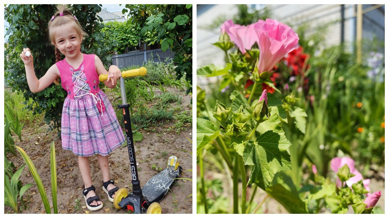 Садівники пояснили, як зробити для дитини грядку на городі