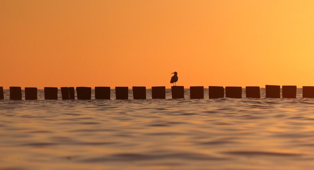 Яка температура Чорного моря на Одещині зараз: в ці курортні села їхати краще, ніж в саму Одесу 