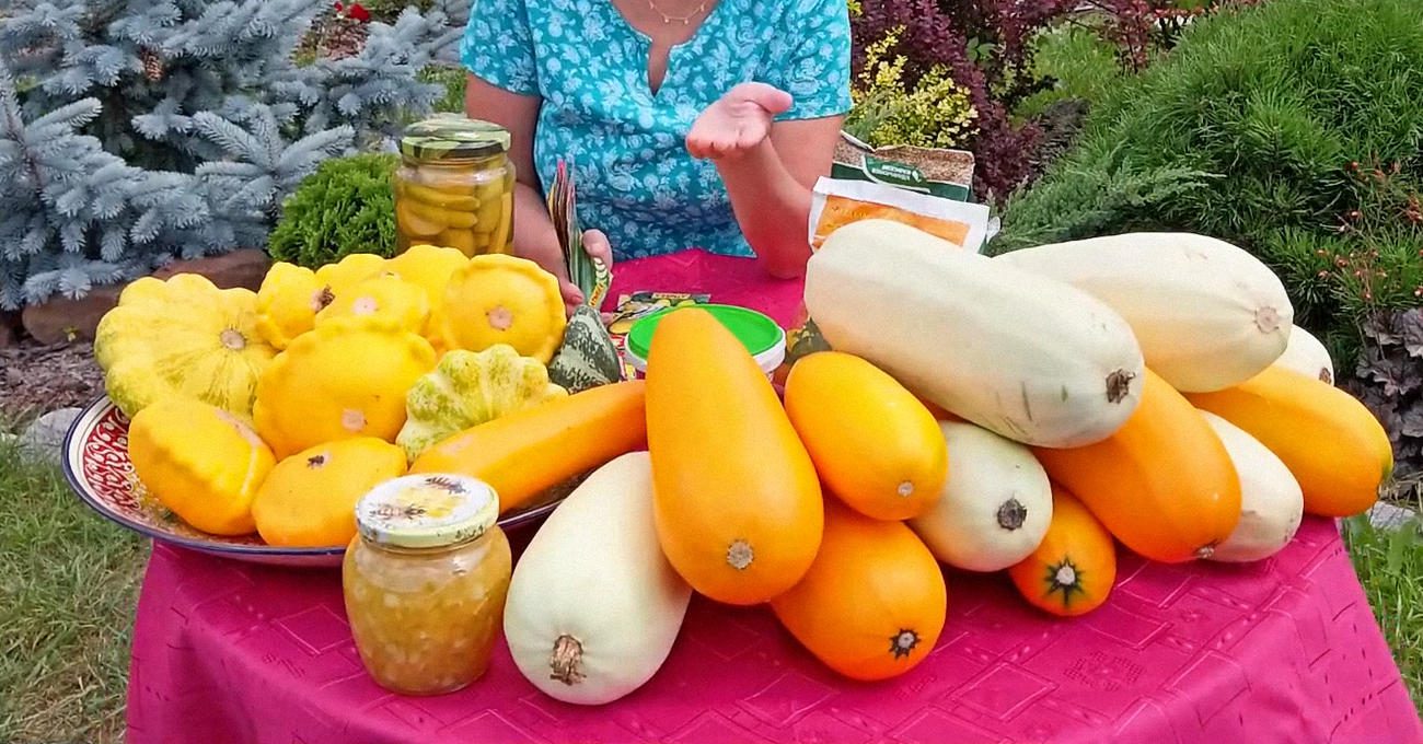 Агрономи розповіли, чим підживити кабачки для гарного та смачного врожаю
