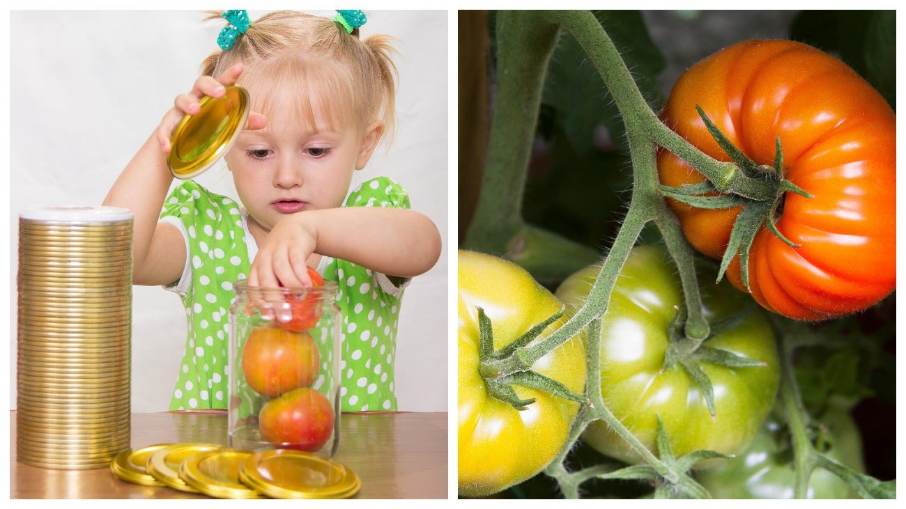 Кулінари пояснили, як замаринувати томати для 1,5-літрової та 3-літрової банок