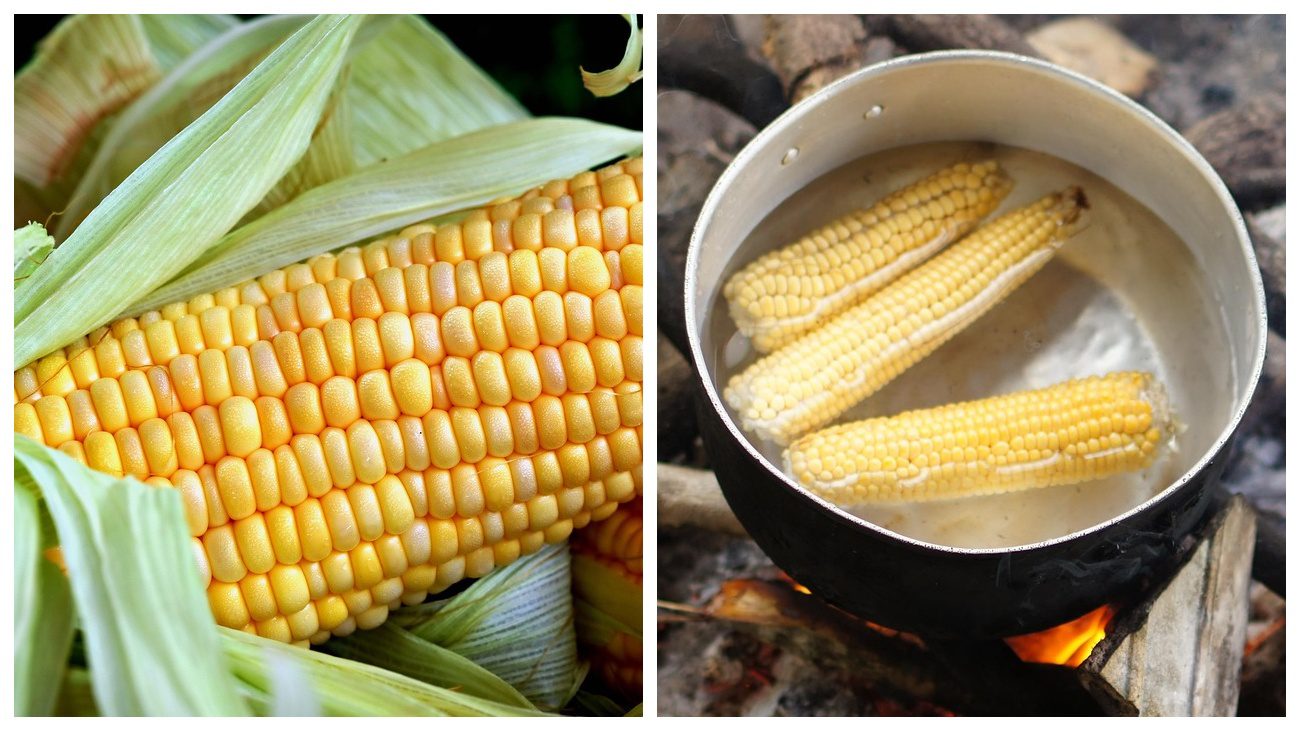 Кулінари пояснили, як правильно варити кукурудзу вдома