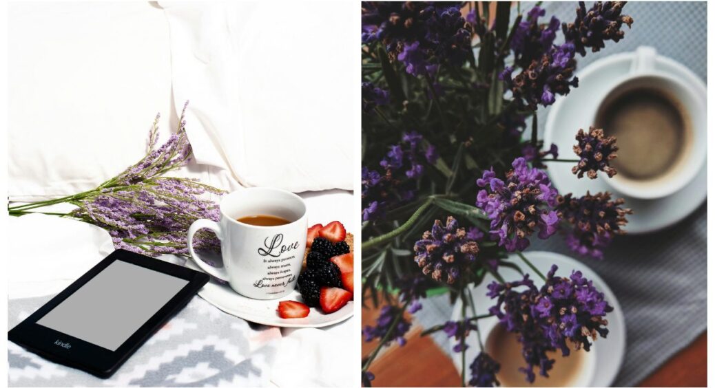 Що зробити з вирощеної у власному саду лаванди – 3 найкращі ідеї: рецепти з французької кухні 