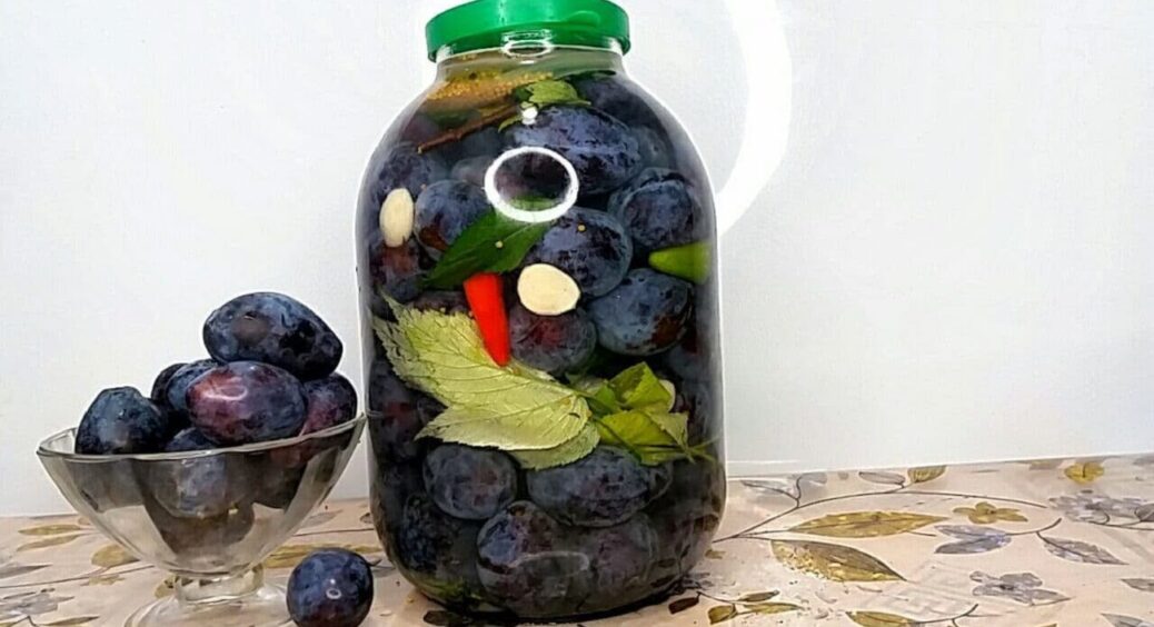 Квашені сливи “По-домашньому” — бабусин рецепт, який не дай Бог передати чужим 