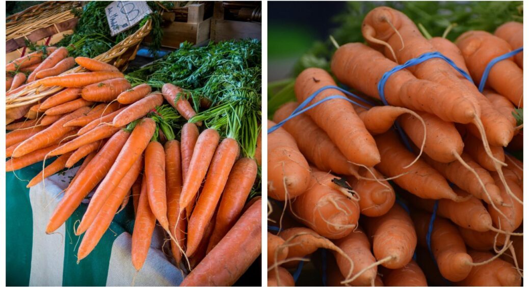 Ніяких подвійних кінчиків та щітки на коренеплодах: 2 підживки, і морква стане ідеальною 